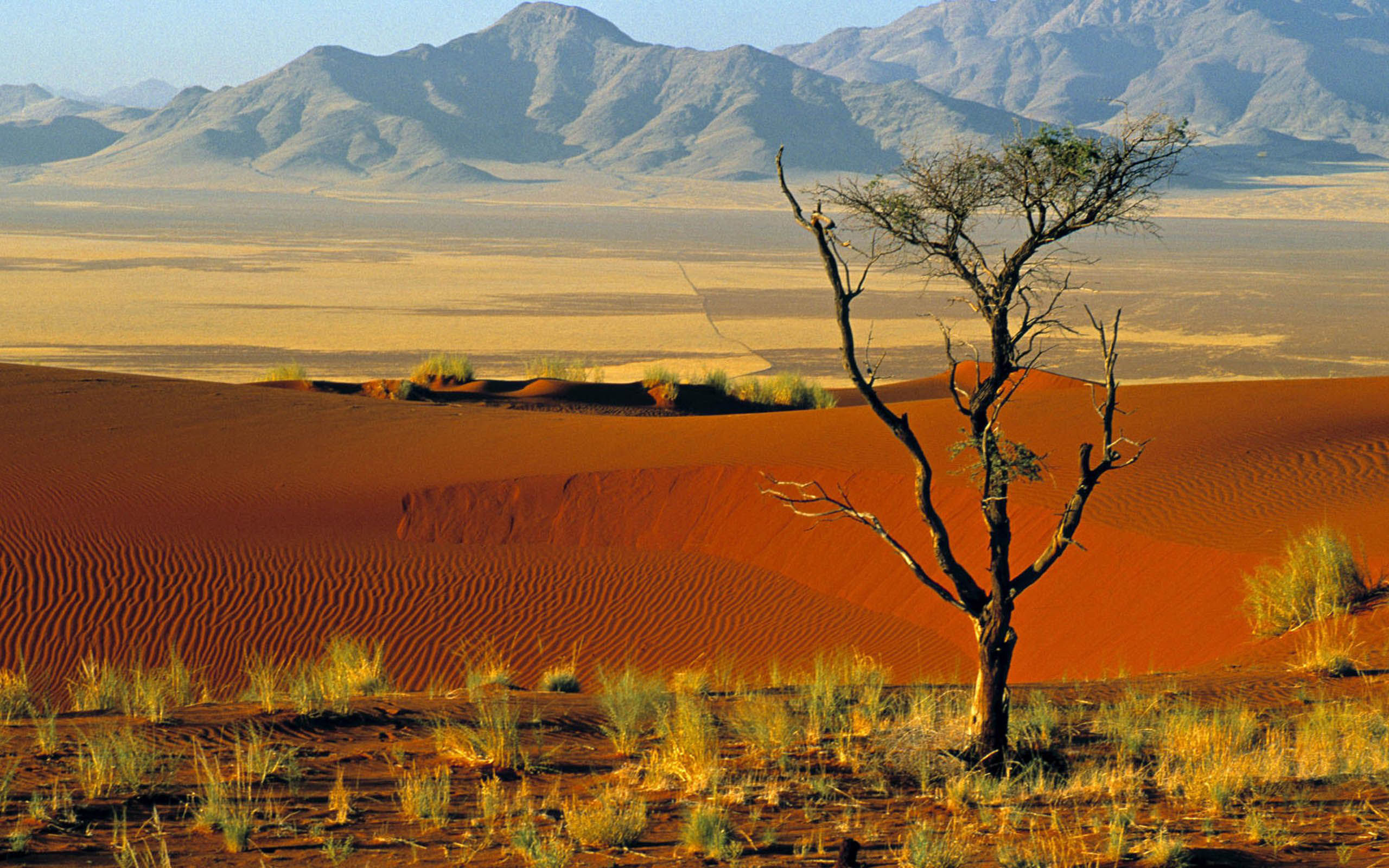 Photo:  Namibia 002